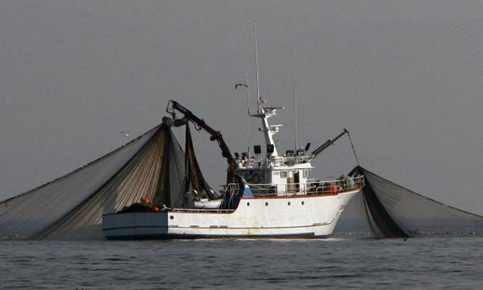 pesca-efe-700.jpg