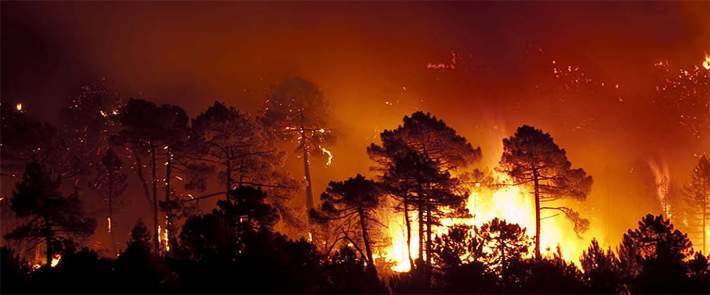incendiosagro