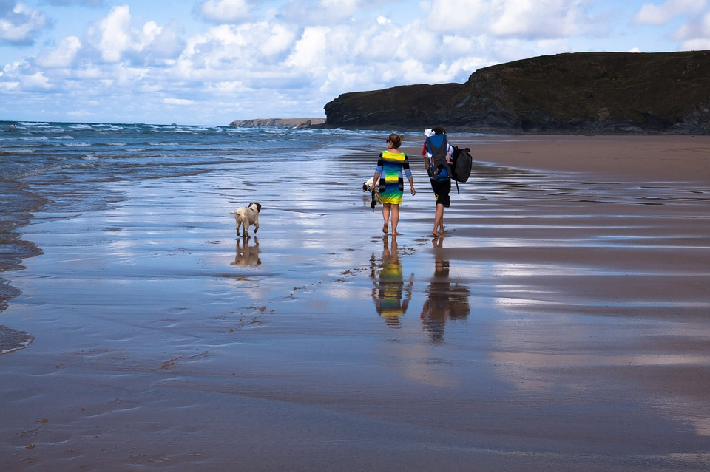 dogs-holidays-el-economista.png