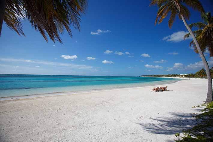 Punta