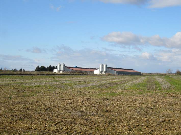teruelagricultura