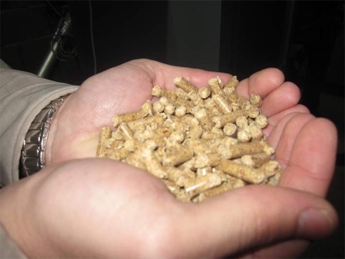 biomasa