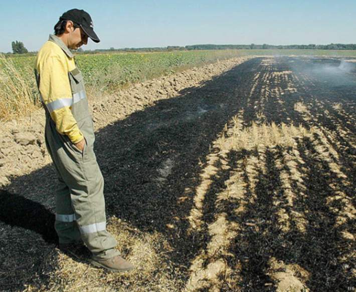 incendiosforestales