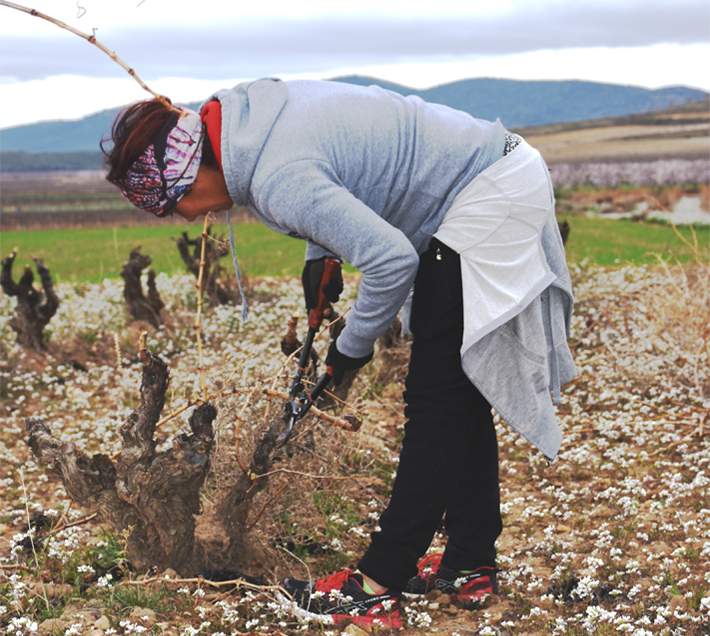 jovenesagricultura