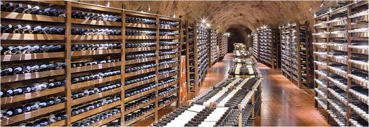 vinoaragon