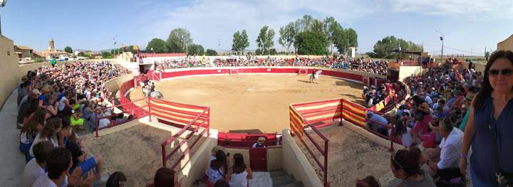 toros