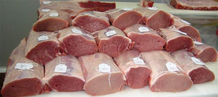 alimentacion