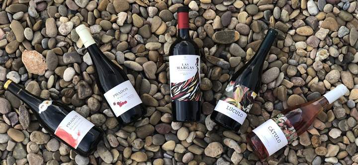 vinos
