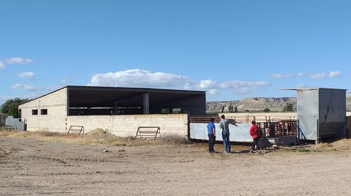 ganaderia