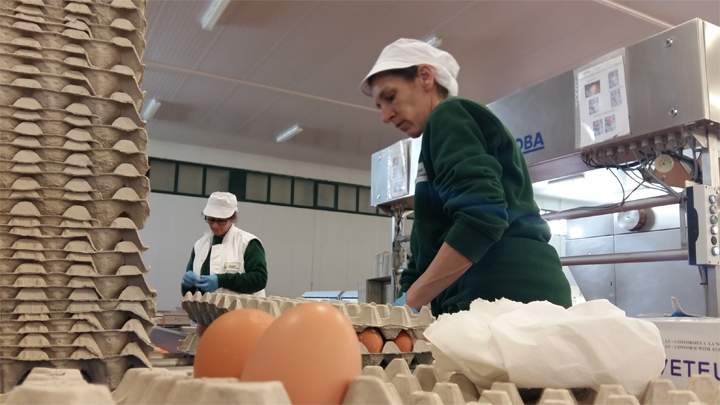 ayudasagroalimentacion