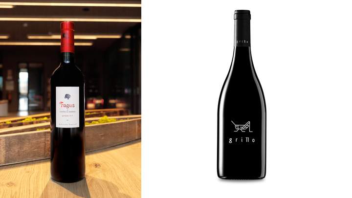 vinos