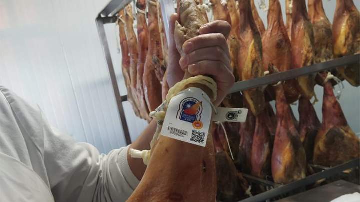 jamonteruel