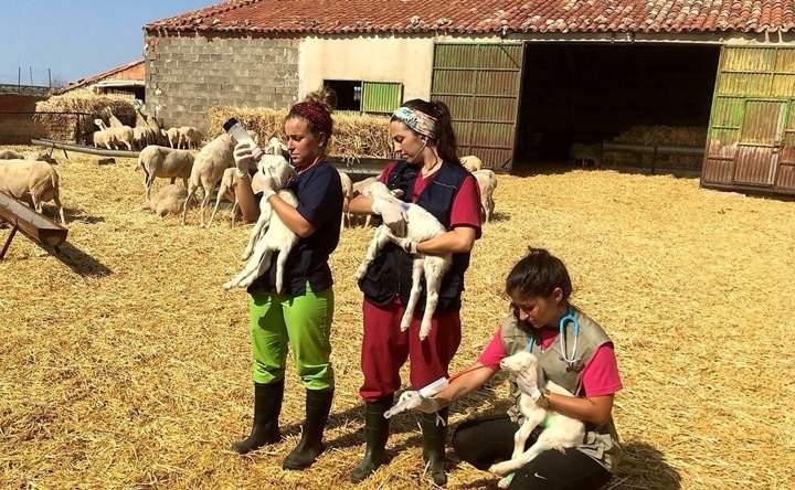 erasmusrural