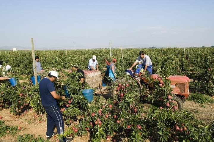 agriculturatemporeros