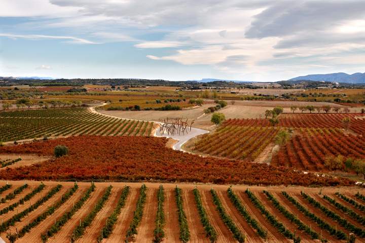 enatebodegas