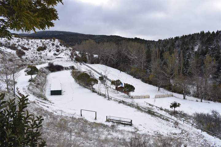 nieve