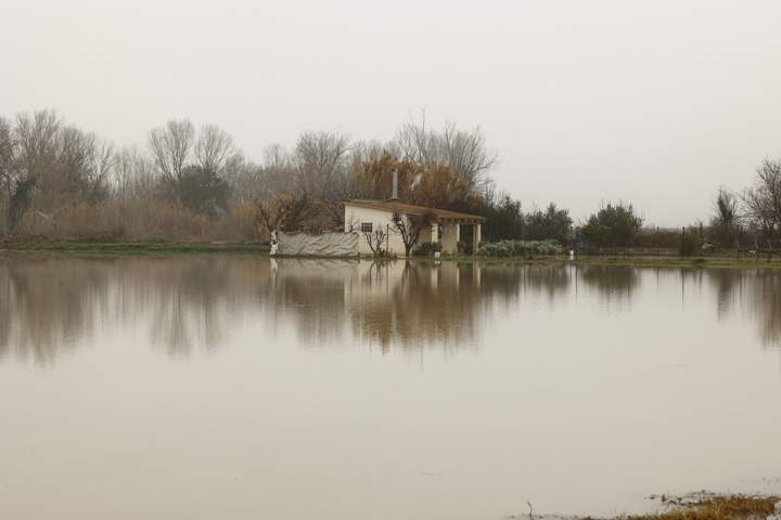 riadas ebro
