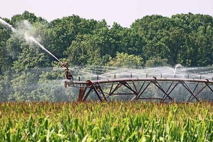 agricultura