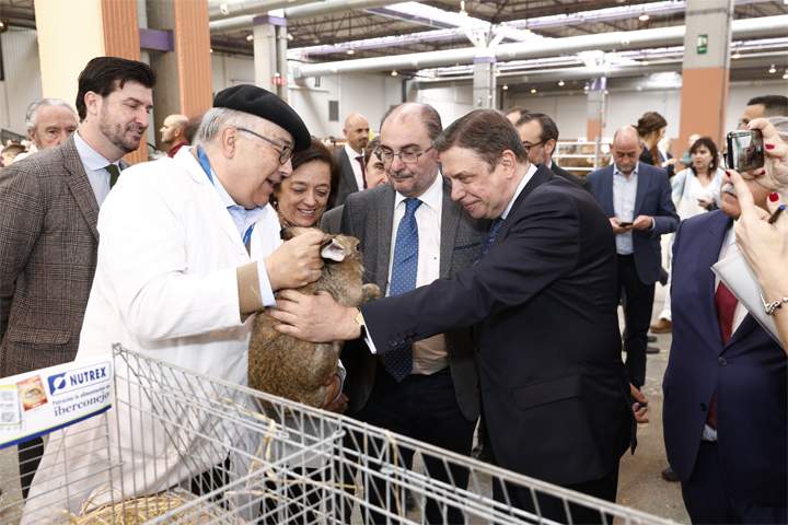 figanministerio