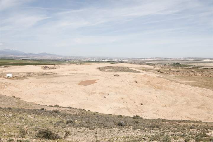 bonarea