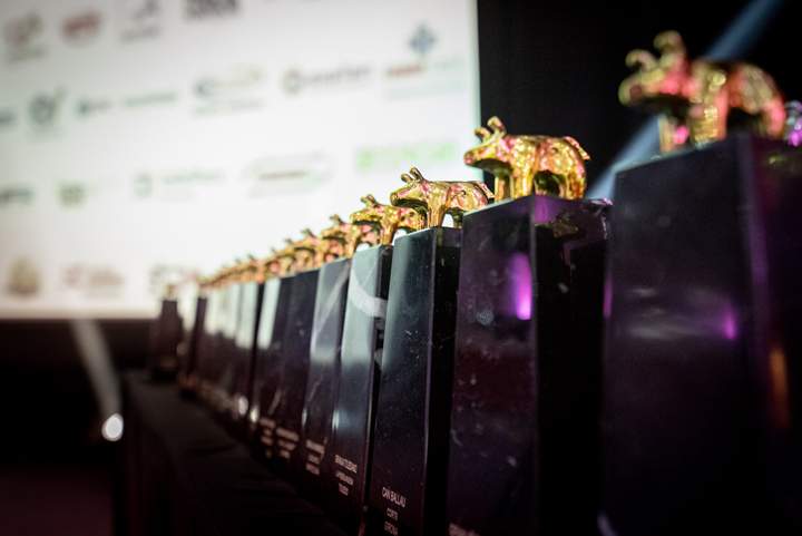premiosporcino
