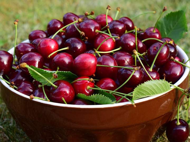 cerezas