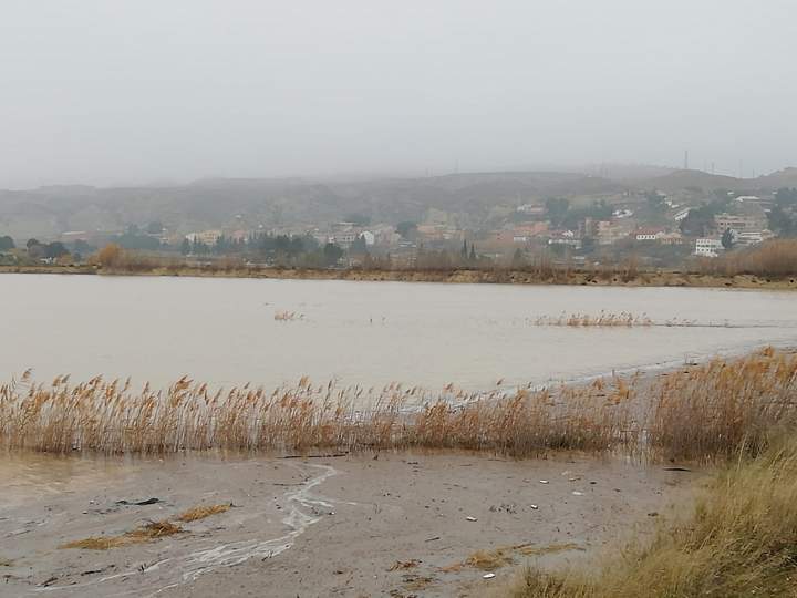 ayudas riada Ebro
