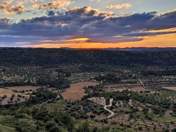 forestalia teruel