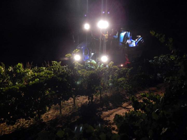 bodegapirineos