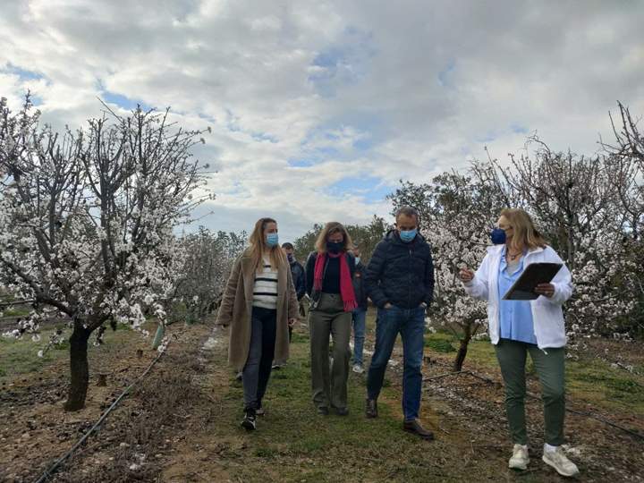 almendro