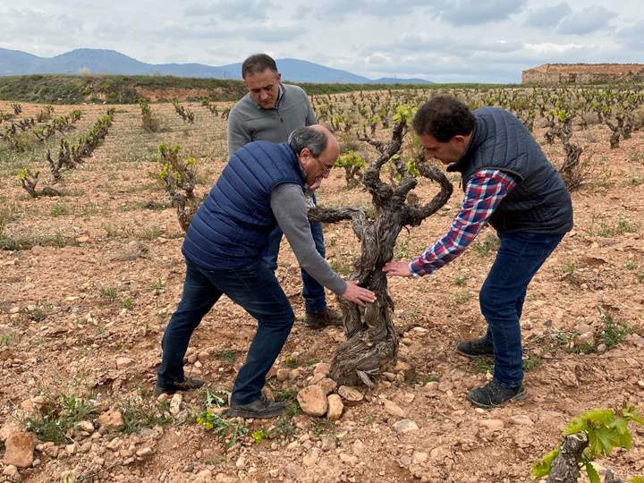 bodegasaragonesas
