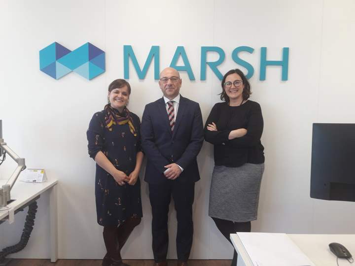 marsh
