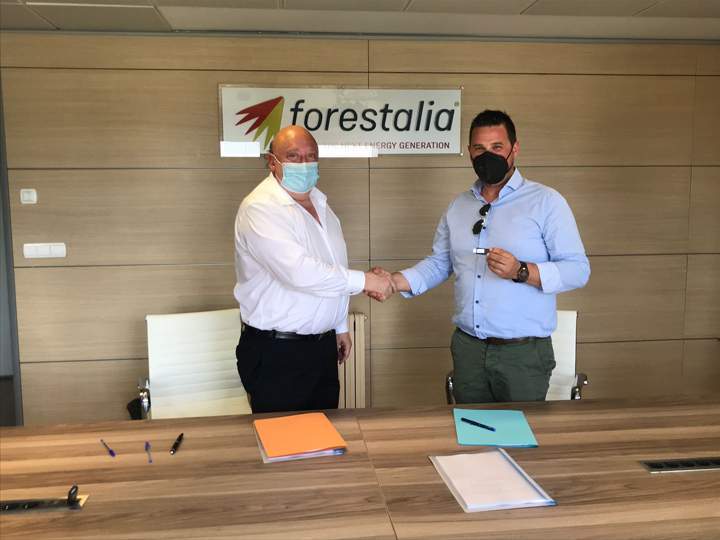 forestalia
