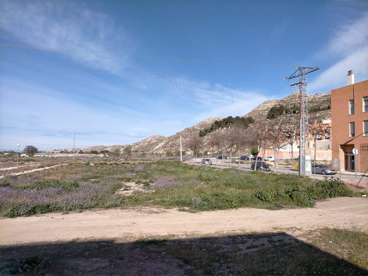 cadrete