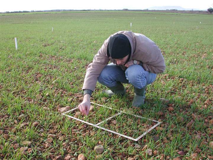 jovenesagricultores