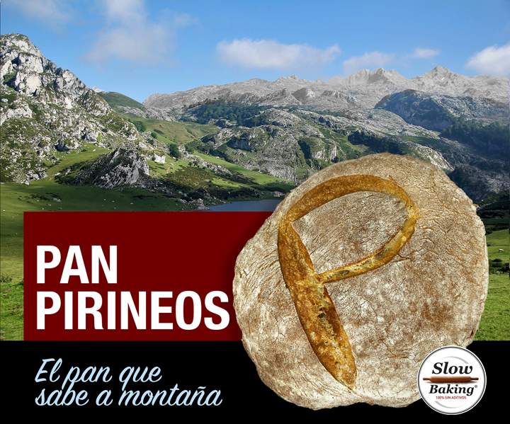 panishoppan