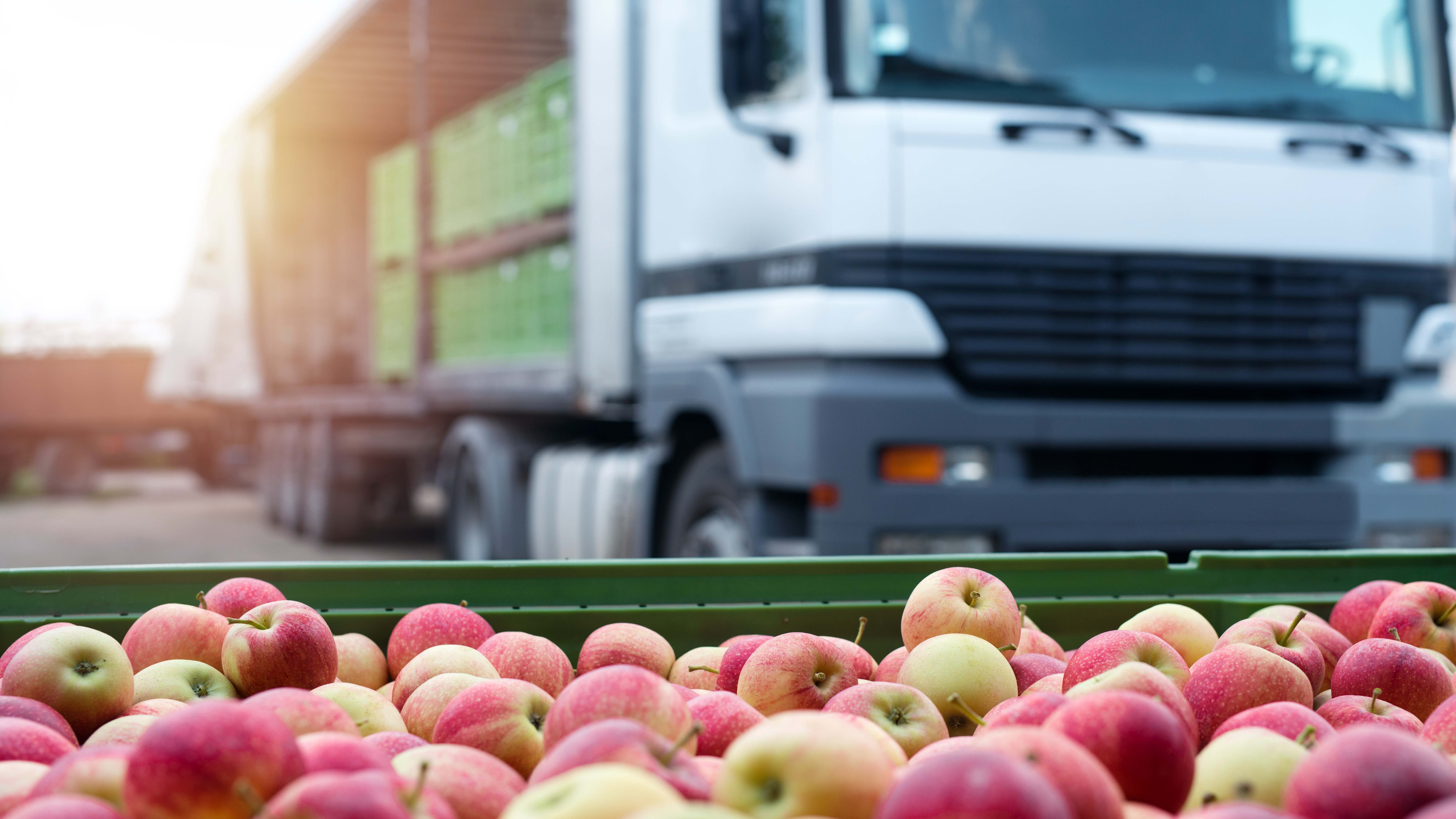 Caída de las exportaciones españolas hasta septiembre
