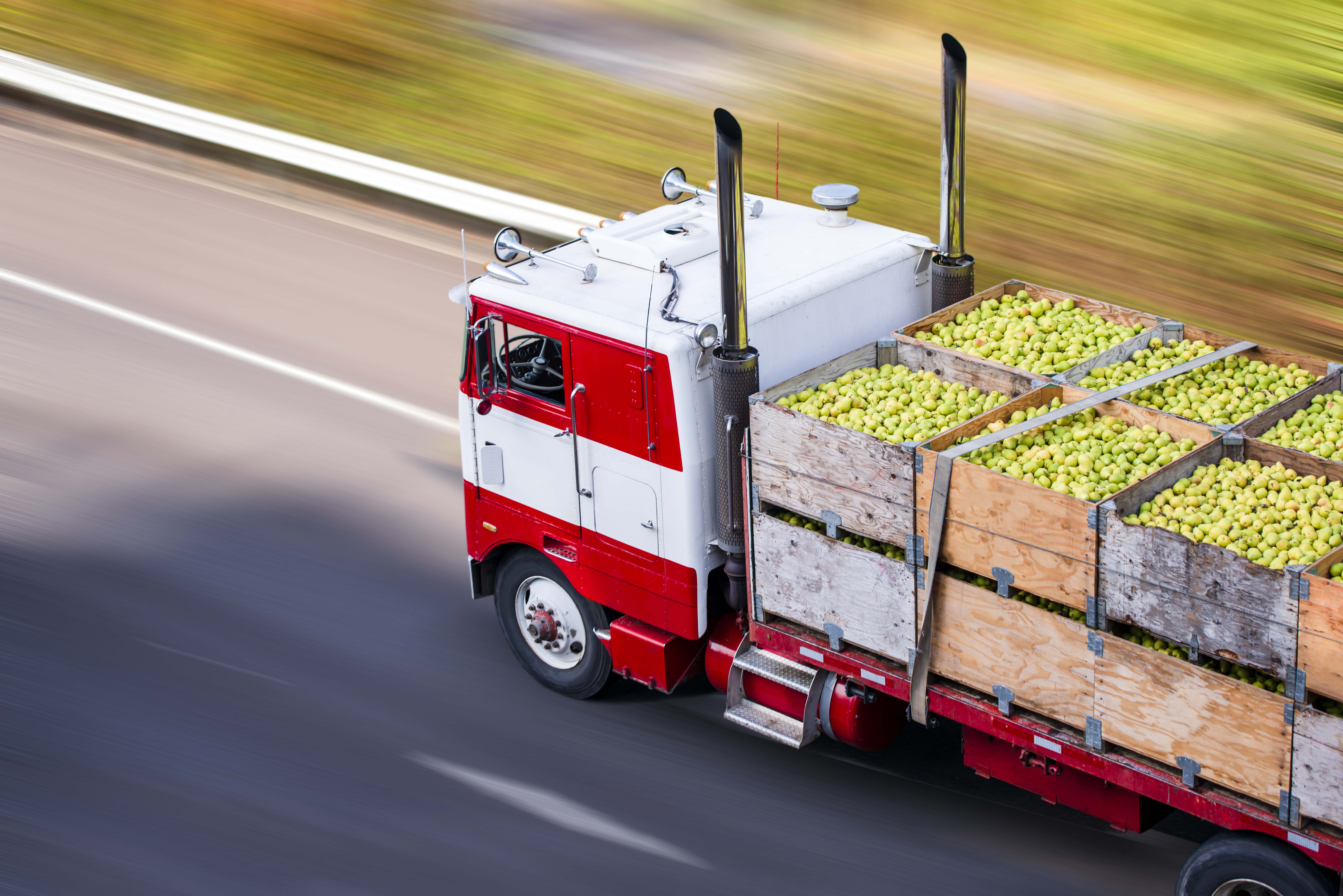 frutas exportaciones