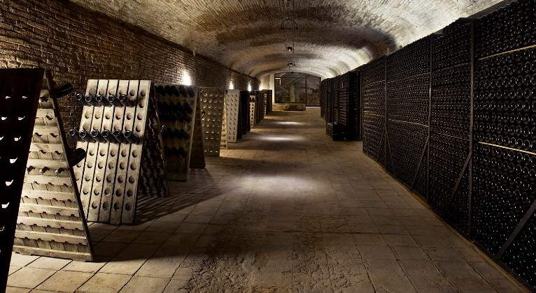 codorniu-bodegas.jpg