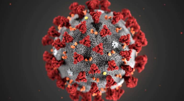 coronavirus-microscopio-bicho-reuters.jpg