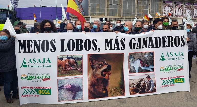 lobosasaja.jpg