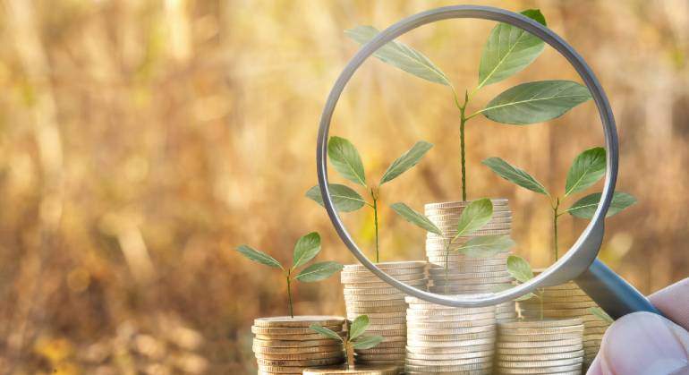 Taxonomia-770-iStock.jpg