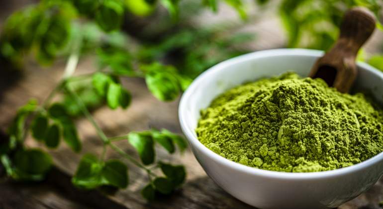 moringa-superalimento.jpg
