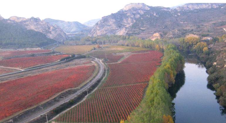 rioja.jpg
