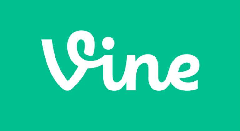 vine.jpg