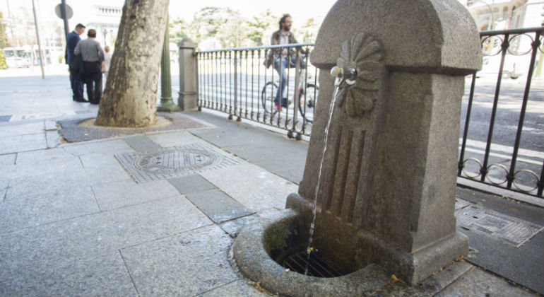 fuente.jpg