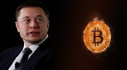 Elon Musk reafirma que es partidario del bitcoin y que llegó tarde a la fiesta