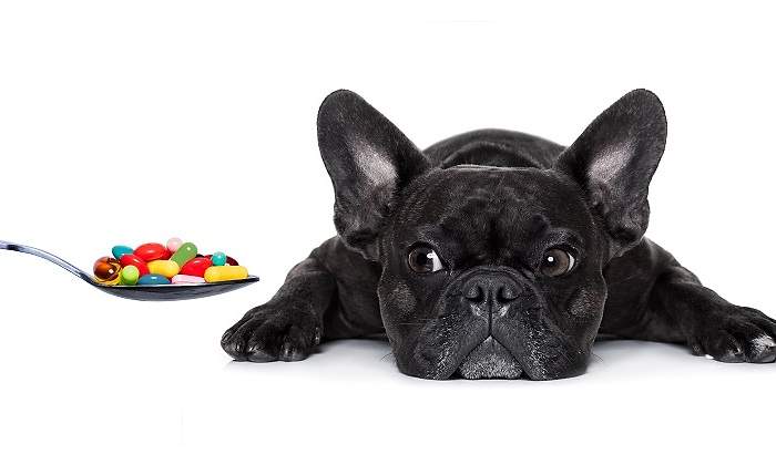 iStock-501944530.jpg