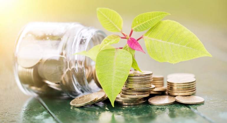 economia-verde.jpg