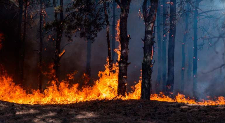 incendios-defini.jpg
